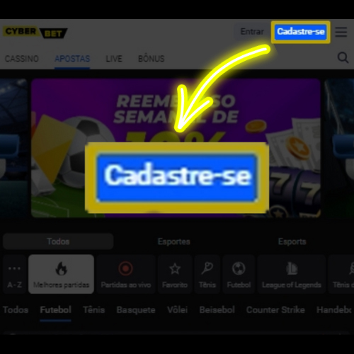 Tecnico camaroes